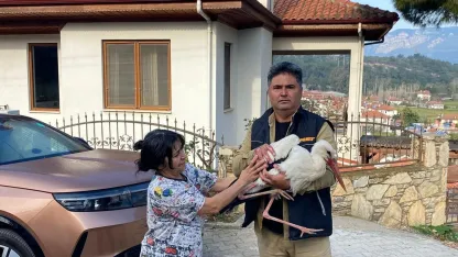 Bitkin düşen leylek, tedaviye alındı