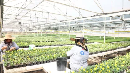 Antalya 4 milyon yazlık çiçekle bahara hazırlanıyor