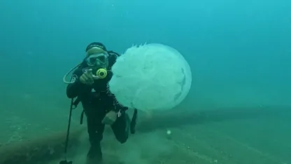 Balıkçıların kabusu oldular