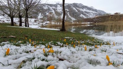 Yaylalarda karlar erimeye başladı, bahar çiçekleri açtı