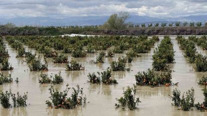 Yağışlar tarım arazilerini vurdu