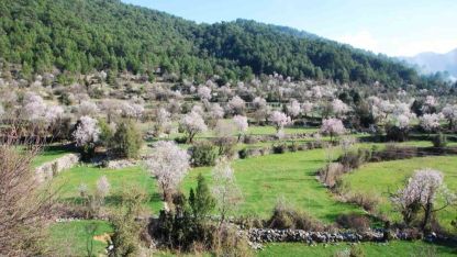 Antalya'da renk cümbüşü yaşanıyor