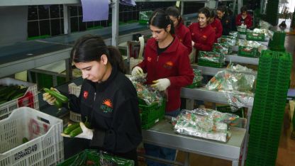 Türkiye'nin ihtiyacının yarısı Antalya'dan