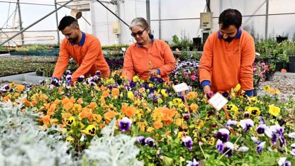 Muratpaşa’dan örnek model