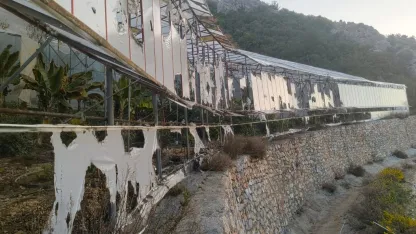 Muz serasının kundaklanmasına 3 tutuklama