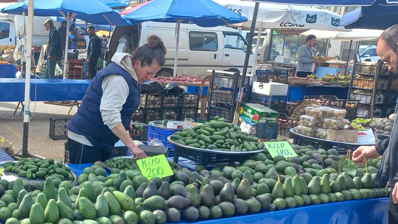 Antalya'da pazarda avokado fiyatları cep yakıyor!