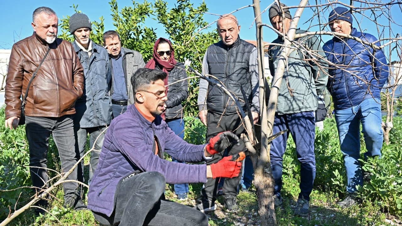 ATASEM’de uygulamalı ağaç budama eğitimi