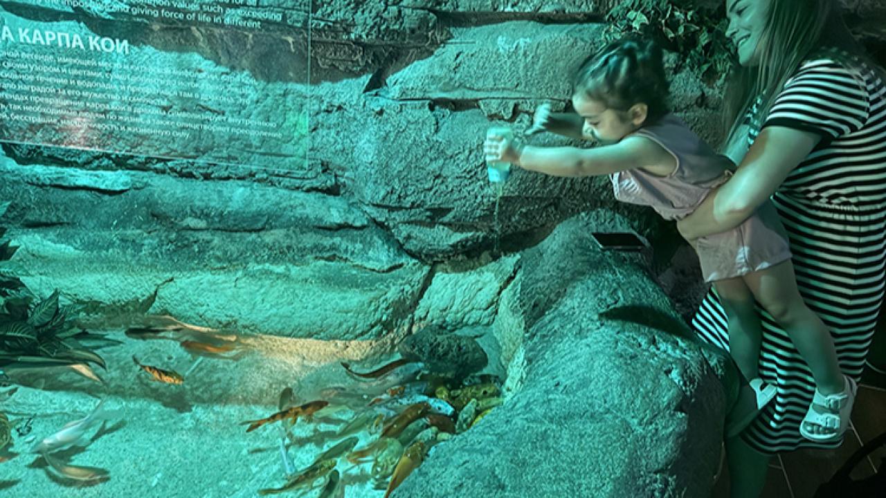 Bayramda çocukların eğleneceği en güzel rota: Antalya Akvaryum