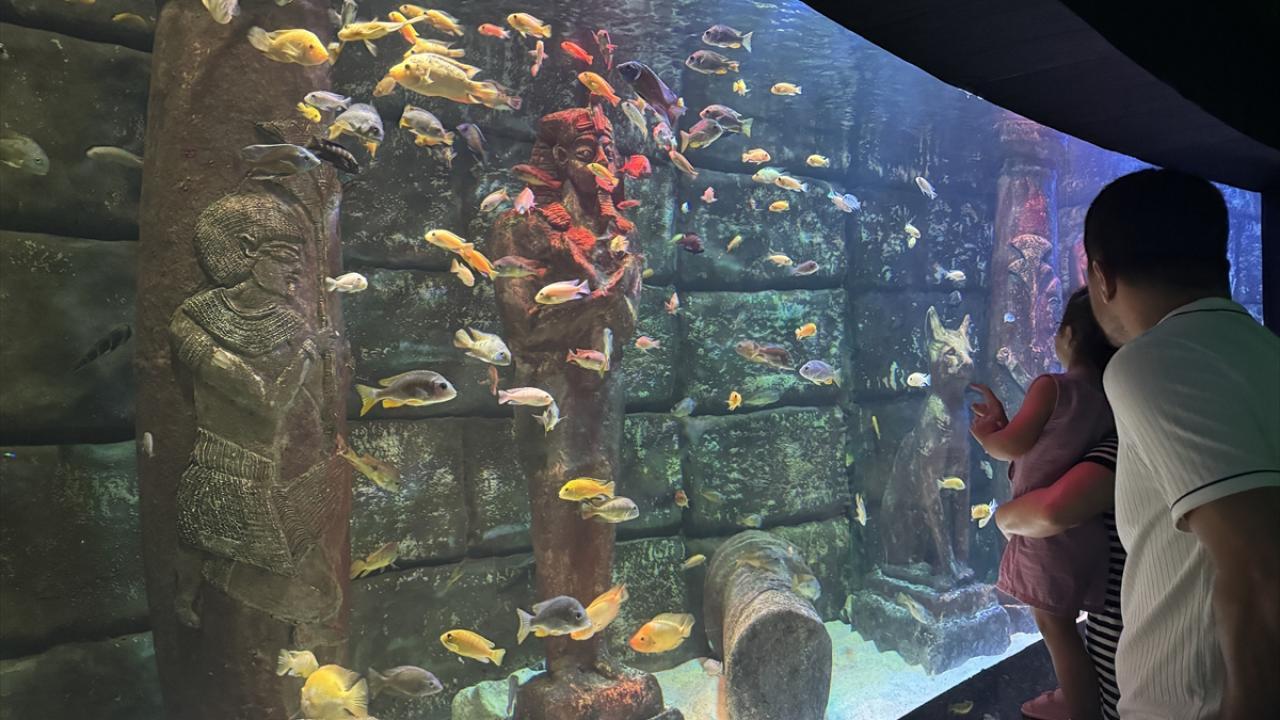 Bayramda çocukların eğleneceği en güzel rota: Antalya Akvaryum