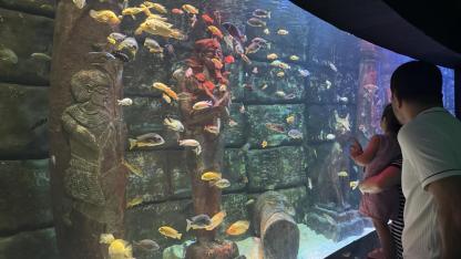 Bayramda çocukların eğleneceği en güzel rota: Antalya Akvaryum