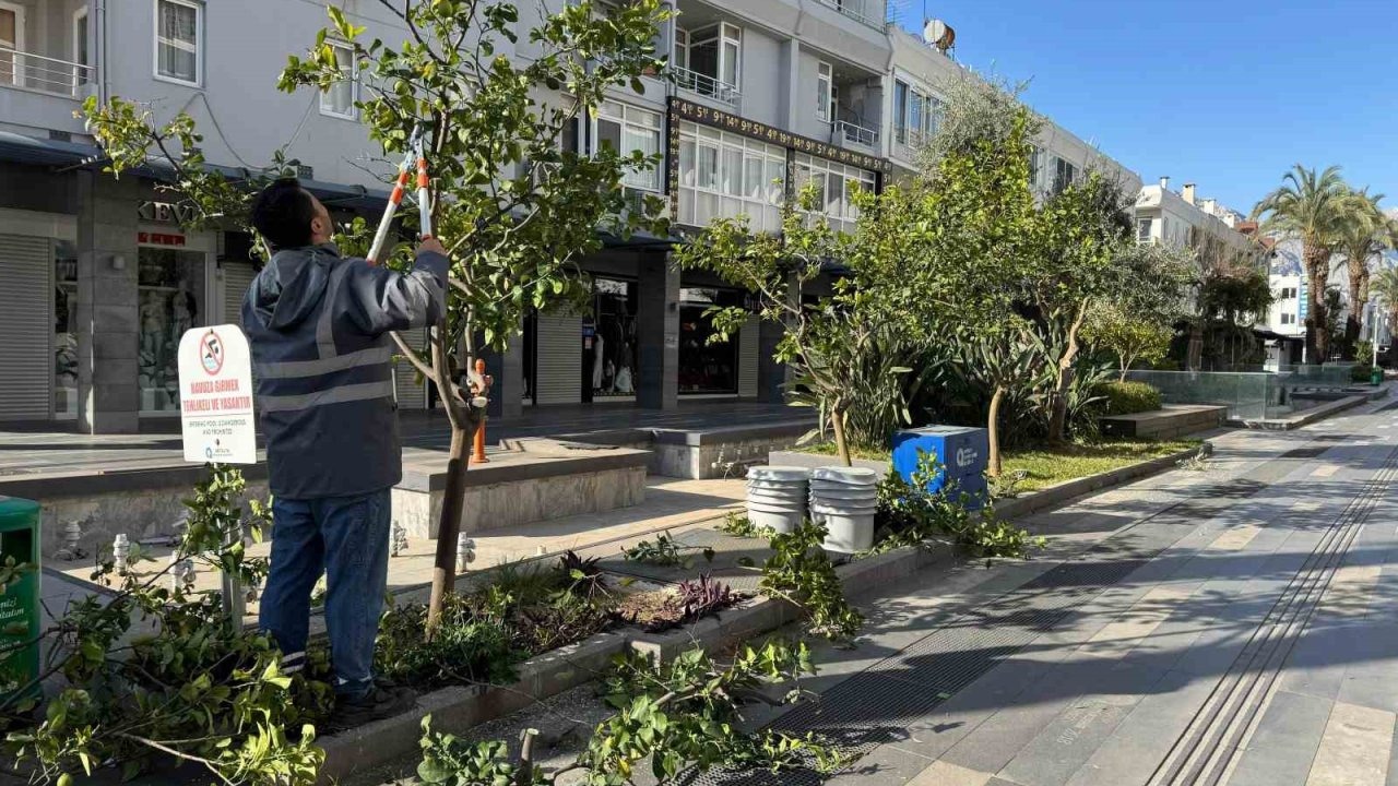 Büyükşehir’den Kemer’de peyzaj düzenlenesi