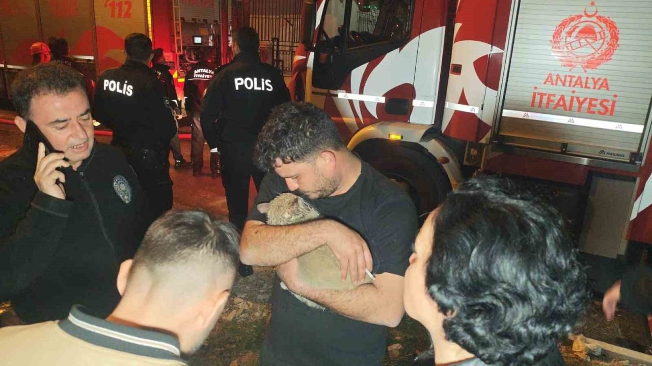 Korkutan yangında mahsur kalan kediyi itfaiye kurtardı