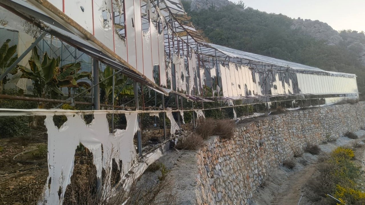 Muz serasının kundaklanmasına 3 tutuklama