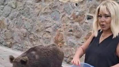 Safiye Soyman kapısına gelen domuzu elleriyle besledi