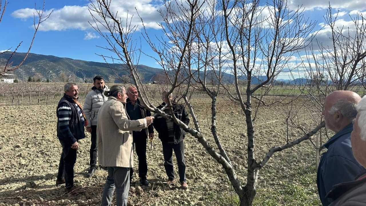 Üreticilere budama eğitimi