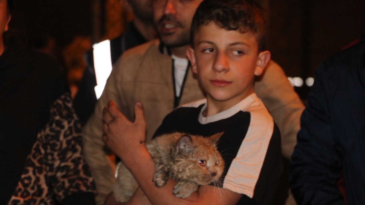 Yangında dairede mahsur kalan kedi 'Duman'ı itfaiye kurtardı