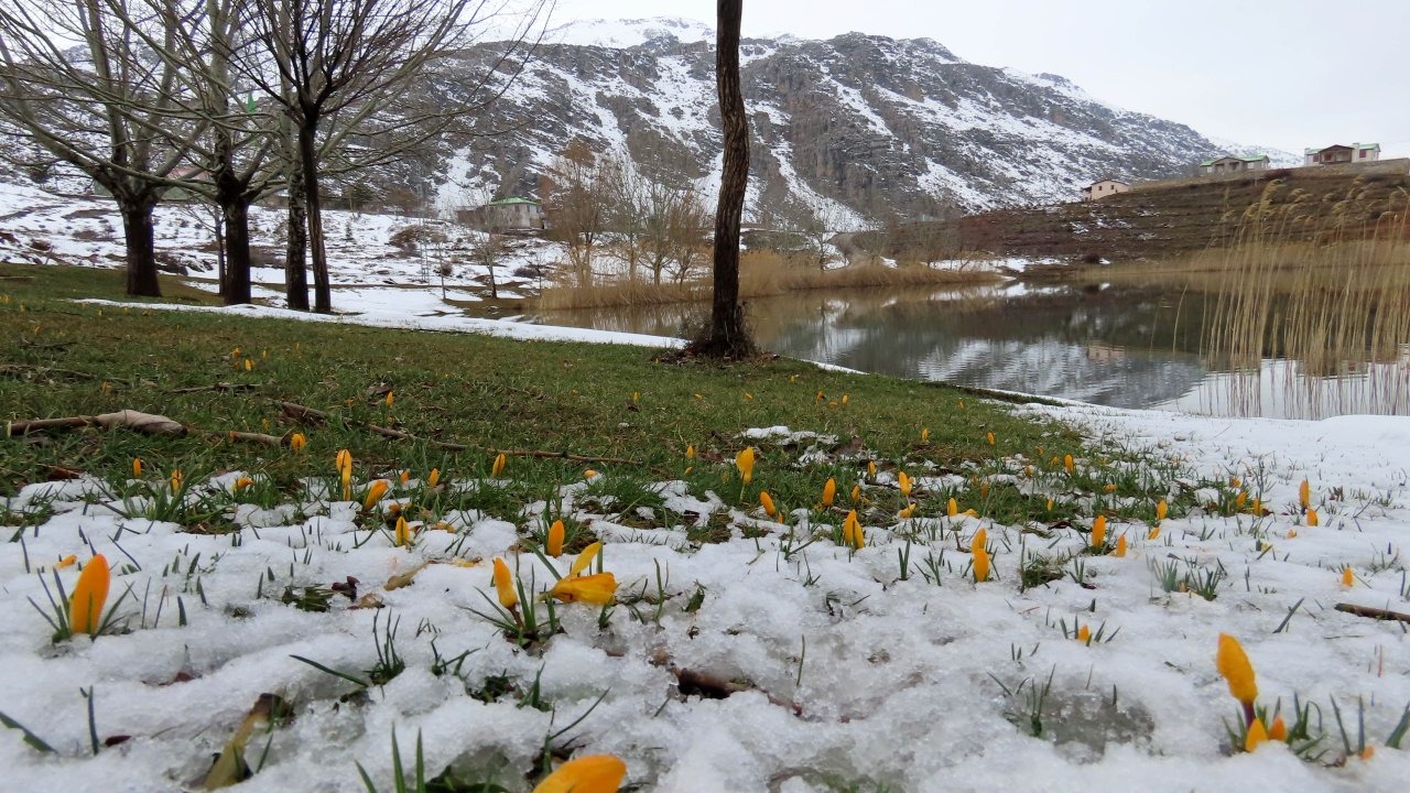 Yaylalarda karlar erimeye başladı, bahar çiçekleri açtı