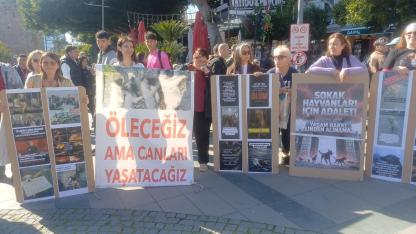 Yenci’den “Üretim ve hayvan ticareti yasaklanmalı”