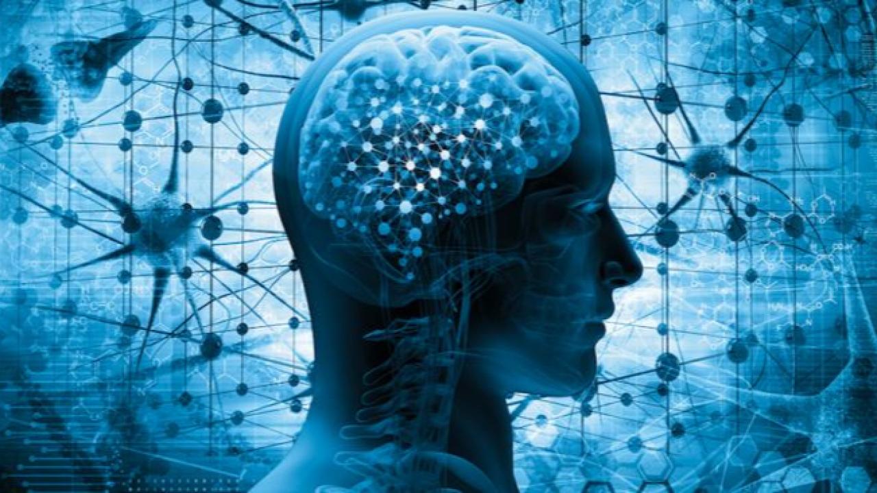 Zekâyı Yöneten Güç: Akıl