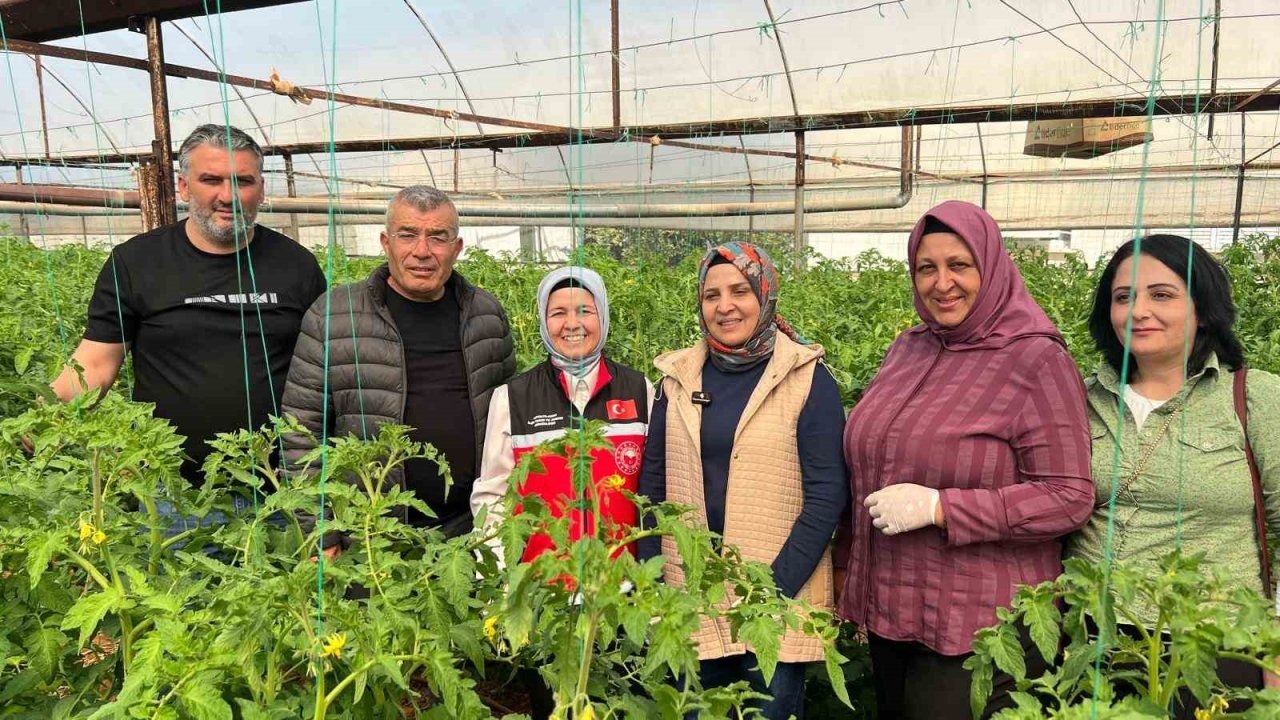 370 bin tonluk rekoltenin tamamı kadın çiftçilerin emeğiyle üretiliyor