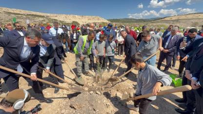 4 bin zeytin toprakla buluştu