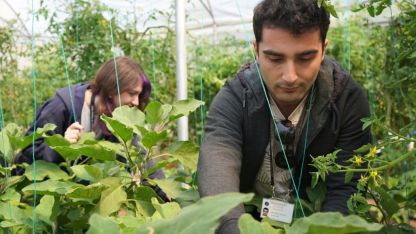 Psikiyatri hastaları hem tedavi görüyor hem para kazanıyor