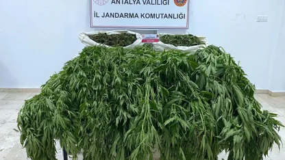 Serik’te uyuşturucu operasyonu: 1 tutuklu