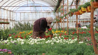 Üretici Kadınlar Meclisi kuruluyor