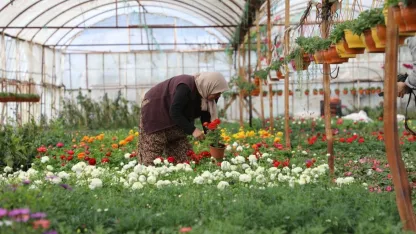 Üretici Kadınlar Meclisi kuruluyor