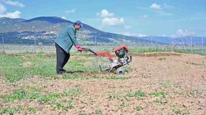 Büyükşehir ipek böceği yetiştiriciliğini yaygınlaştırıyor