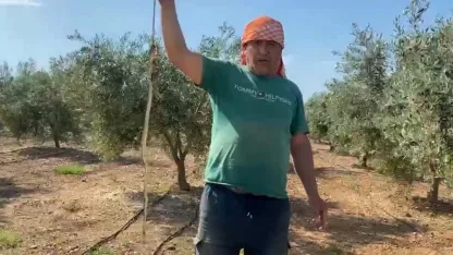 Serada karpuz toplarken yılanla burun buruna geldi