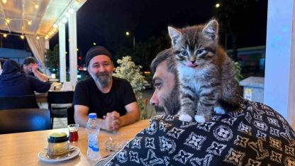 Madde bağımlılığından yavru kedi sayesinde kurtuldu