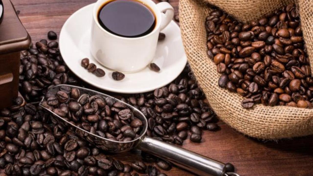 Antalya Coffee Festival için geri sayım başladı!