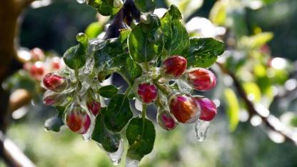 Antalya için uyarı geldi! Valilik alarm verdi