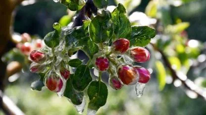Antalya için uyarı geldi! Valilik alarm verdi