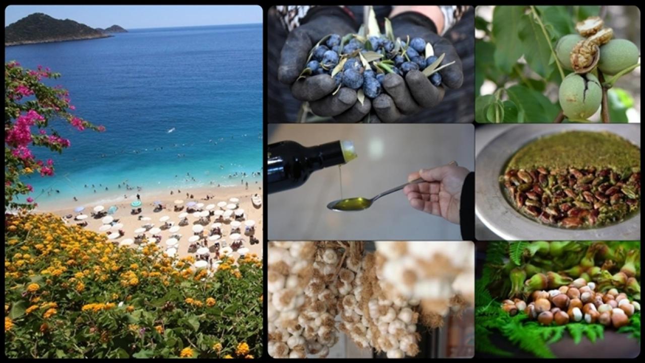 Antalya'da "2. Uluslararası Coğrafi İşaretler Zirvesi" düzenlenecek