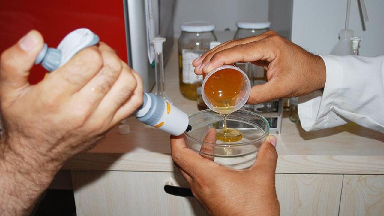 Bakanlık listesini güncelledi!