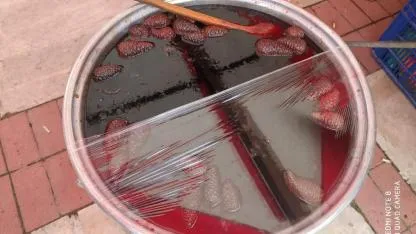 Kozalak pekmezi ilgi odağı oldu