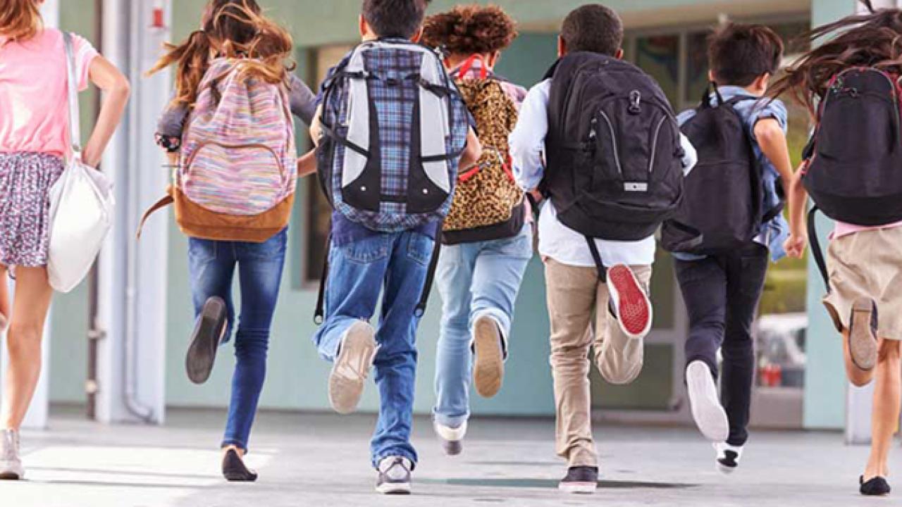 Okulları ve öğrencileri devlet değil, veliler koruyacakmış