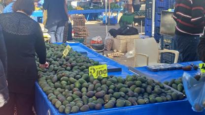 Pazarda avokado fiyatları dikkat çekti!