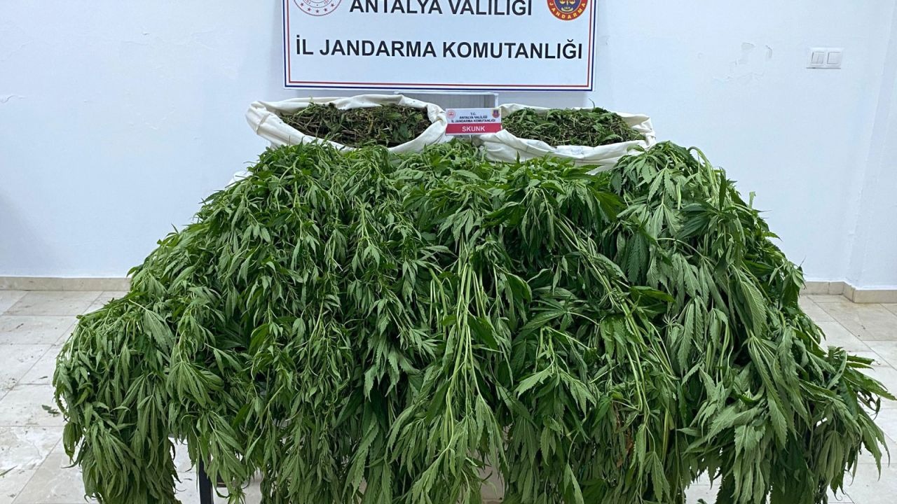 Serik’te uyuşturucu operasyonu: 1 tutuklu