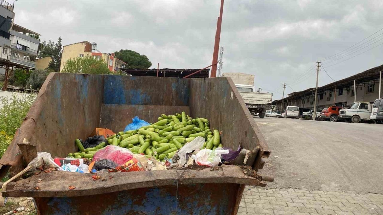 Toptancı halinde çöpe atılan sebzelere tepki