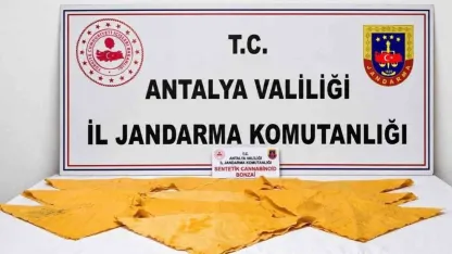 Alanya’da 1 kilo uyuşturucu madde ele geçirildi