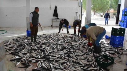 Muğla ihracatta Ege Bölgesi’nde 4’üncü il