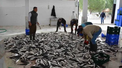 Muğla ihracatta Ege Bölgesi’nde 4’üncü il