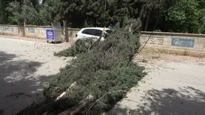 Antalya’da mezarlıktaki ağaç devrildi, park halindeki araç zarar gördü