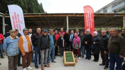 500 bin ata tohumundan üretilen fideler toprakla buluşuyor