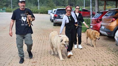 Sıcak yuva onları bekliyor