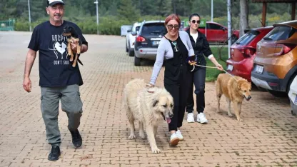Sıcak yuva onları bekliyor