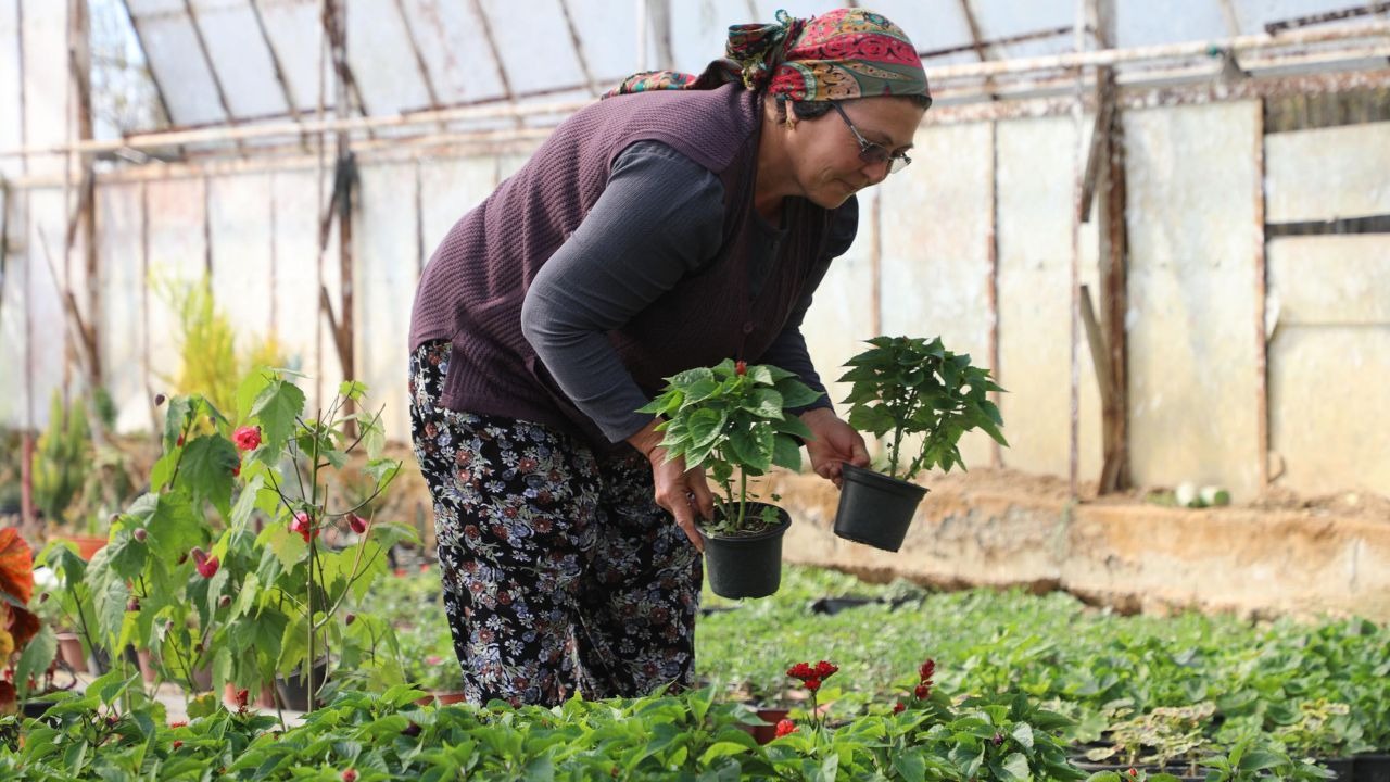 Muğla'da hem tarım hem de kadını destekleye projede 28 milyon çiçek üretildi
